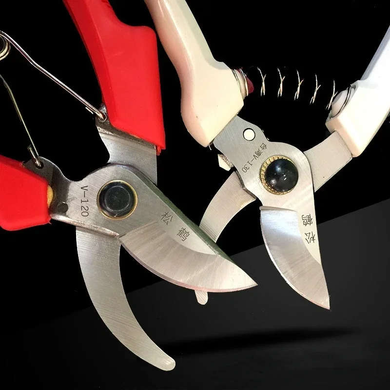 Pruning tools for gardening on fruit branches. Green pruning scissors for garden, fruit tree, flower and fruit picking.
Pruning tools for gardening on fruit branches. Green pruning scissors for garden, fruit tree, flower and fruit picking.