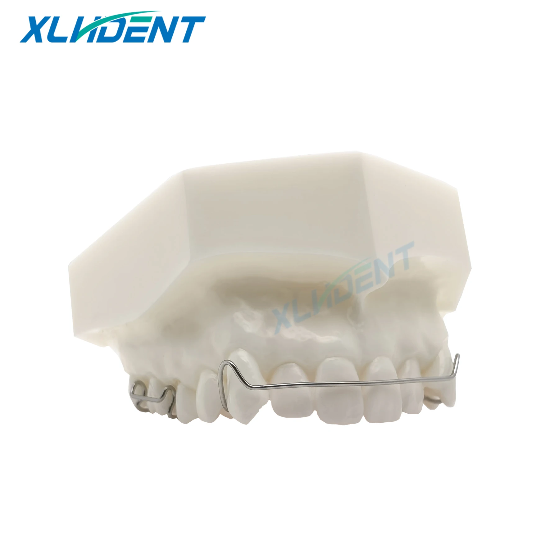 Removable Teeth Model Dental Orthodontic Model With Maxilla the Structure of Retainer Dentistry Teaching Resources Tooth Model
Removable Teeth Model Dental Orthodontic Model With Maxilla the Structure of Retainer Dentistry Teaching Resources Tooth Model