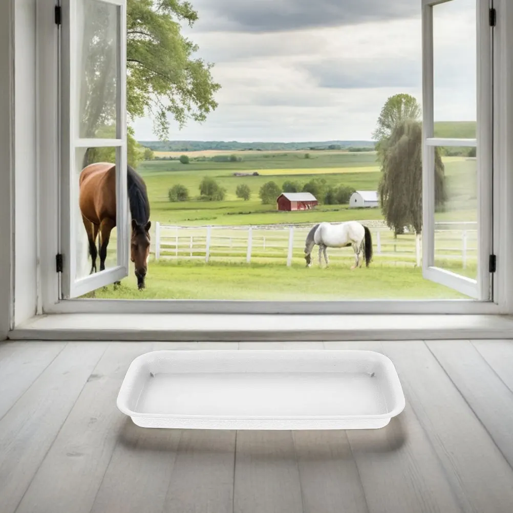 2Pcs Rectangular Water Tray for Flower Pots Sturdy Resin Anti-Slip Design Large Capacity Drip Pan for Indoor Outdoor Plants
2Pcs Rectangular Water Tray for Flower Pots Sturdy Resin Anti-Slip Design Large Capacity Drip Pan for Indoor Outdoor Plants