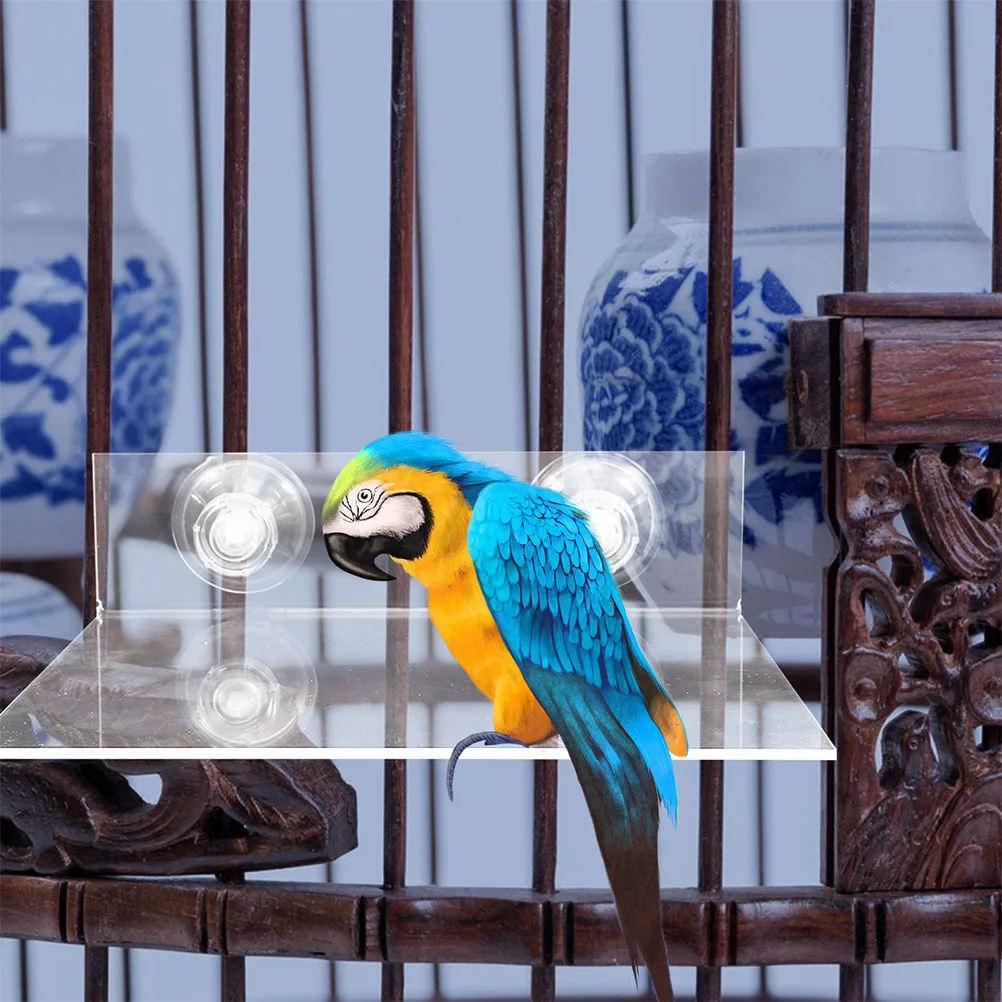 2pcs Parrot Platform With Suction Cups Adjustable Portable Bird Perch For Window Bath Shower Easy To Clean Sturdy Stand For
2pcs Parrot Platform With Suction Cups Adjustable Portable Bird Perch For Window Bath Shower Easy To Clean Sturdy Stand For