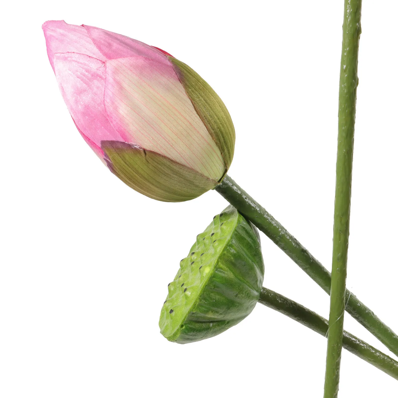 1Set Realistic Artificial Lotus Decor Lifelike Simulation Floating Flower for Garden Ponds Fountains Home Decor
1Set Realistic Artificial Lotus Decor Lifelike Simulation Floating Flower for Garden Ponds Fountains Home Decor