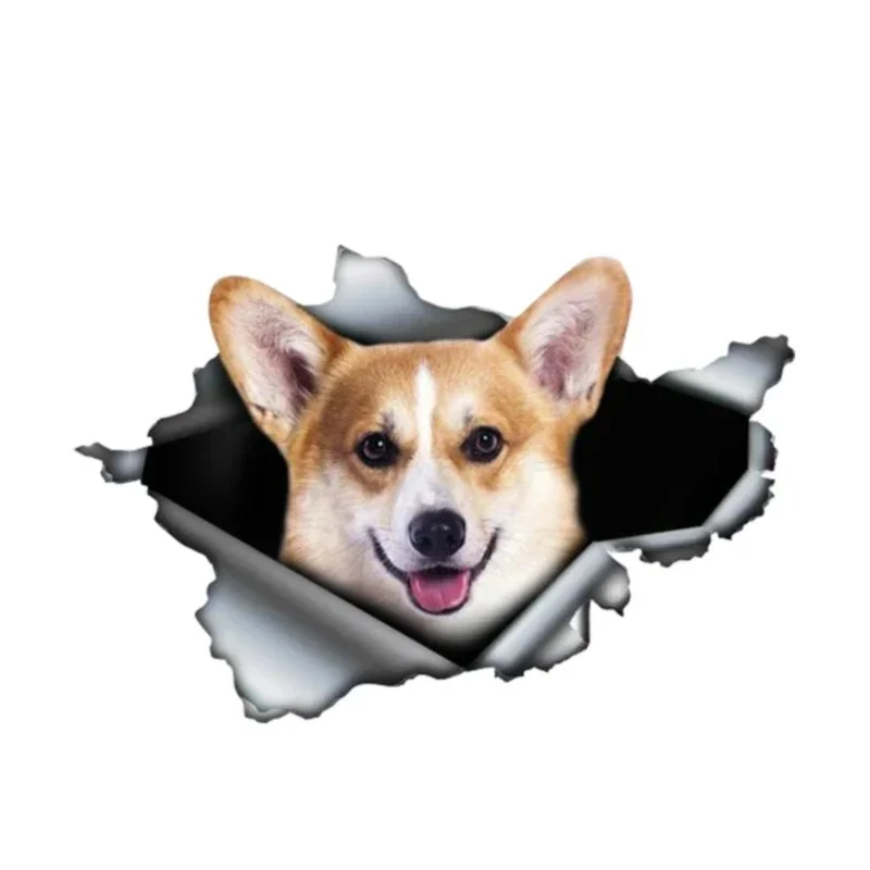Various Sizes Personality PVC Decal Corgi Dog Waterproof Car Sticker on Motorcycle Laptop Decorative
Various Sizes Personality PVC Decal Corgi Dog Waterproof Car Sticker on Motorcycle Laptop Decorative