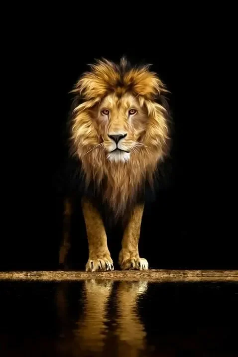 African Animals Lion Oil Painting Print Art Canvas Poster for Living Room Decoration Home Wall Decor Picture
African Animals Lion Oil Painting Print Art Canvas Poster for Living Room Decoration Home Wall Decor Picture