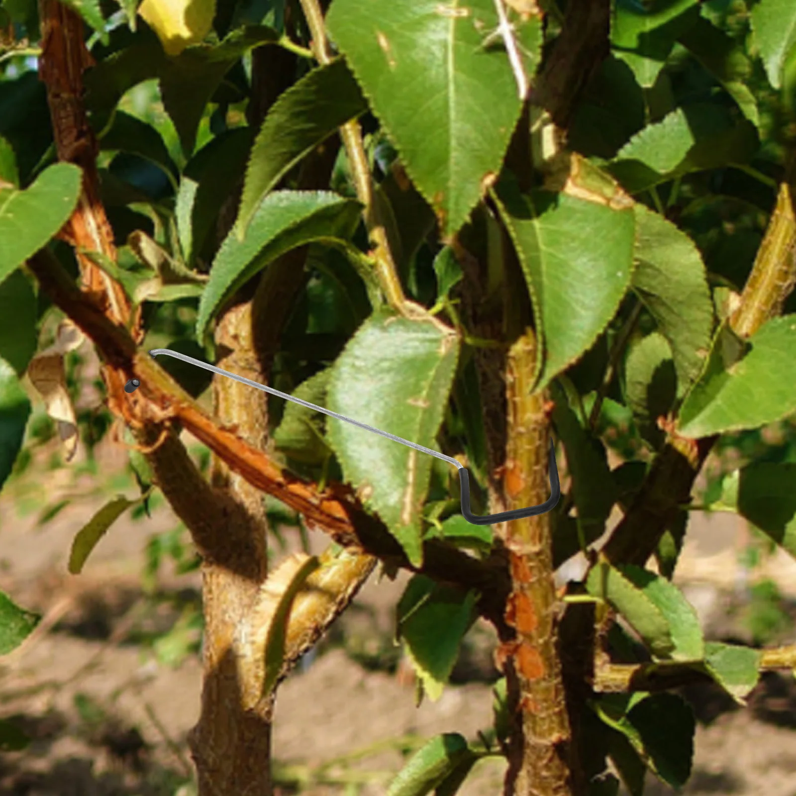 20 Pcs Puller Branches Trainers Fruit Tree Shaping Tool Limb Spreaders Stem Bender Gardening Plant Spreader Outdoor Garden Use 
20 Pcs Puller Branches Trainers Fruit Tree Shaping Tool Limb Spreaders Stem Bender Gardening Plant Spreader Outdoor Garden Use