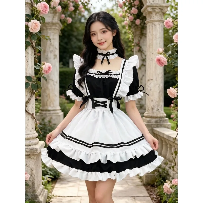 Japanese Lolita Maid Cosplay Dress Sweet Ruffled Frilled With Lace Bow Apron Short Sleeve For Party Performance Daily Wear
Japanese Lolita Maid Cosplay Dress Sweet Ruffled Frilled With Lace Bow Apron Short Sleeve For Party Performance Daily Wear