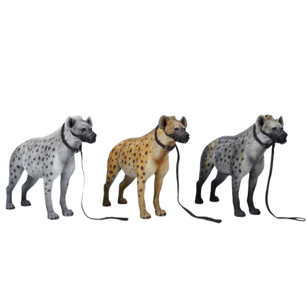 HiPlay JXK Collectible Figure Hyena Expertly Hand-Painted Safe Resin 1:6 Scale Miniature Toys Animal Figurine
HiPlay JXK Collectible Figure Hyena Expertly Hand-Painted Safe Resin 1:6 Scale Miniature Toys Animal Figurine