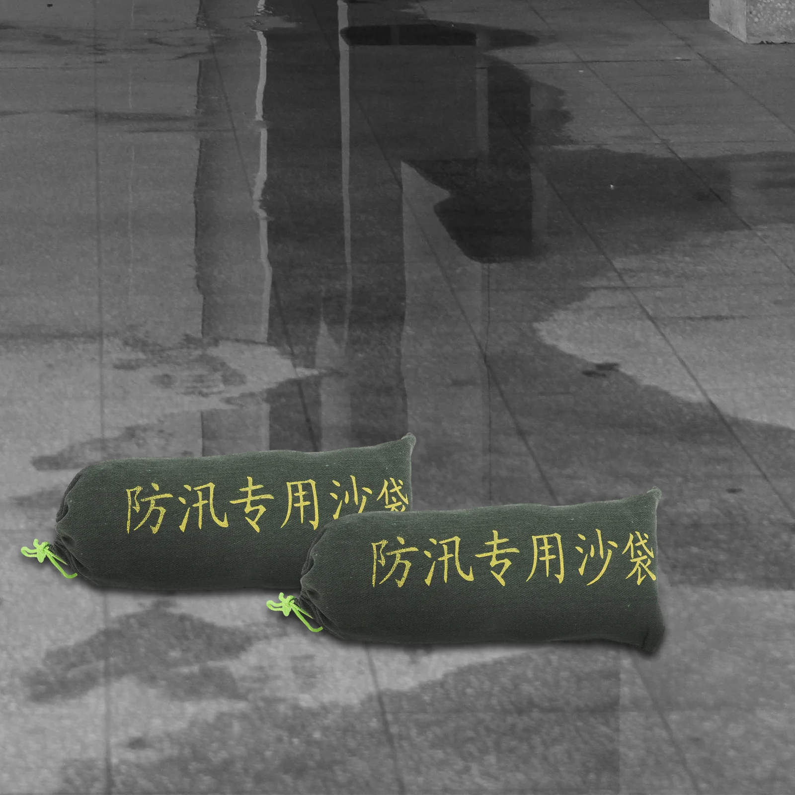 2Pcs Flood Sandbags 25x50cm Heavy Duty Canvas Water Absorbing Expandable Reusable Barrier for Home Garage Door Window Flood
2Pcs Flood Sandbags 25x50cm Heavy Duty Canvas Water Absorbing Expandable Reusable Barrier for Home Garage Door Window Flood