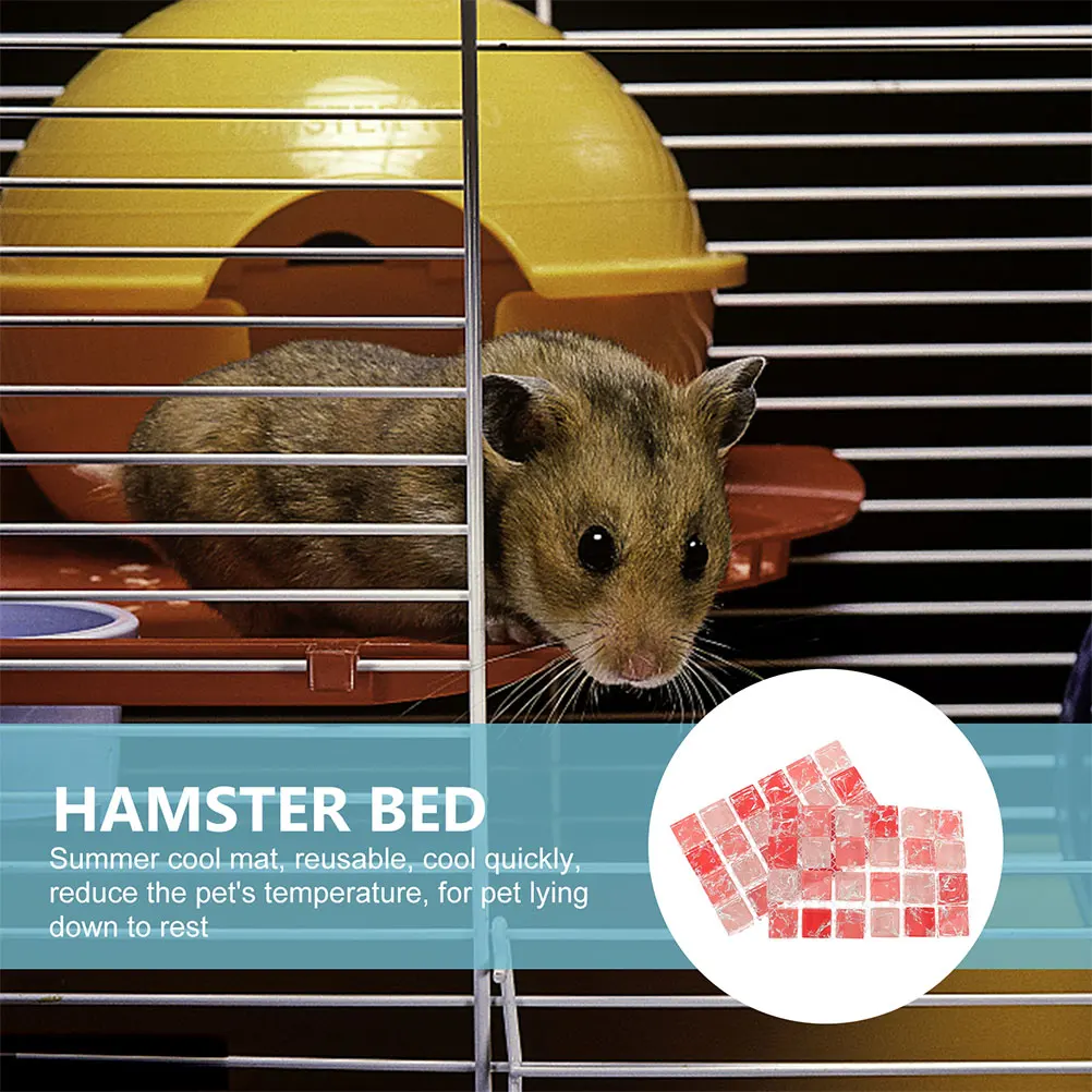 Hamster Cooling Mats 3Pcs Pet Cooling Pad Small Animal Cooling Blanket Ideal For Hot Weather
Hamster Cooling Mats 3Pcs Pet Cooling Pad Small Animal Cooling Blanket Ideal For Hot Weather