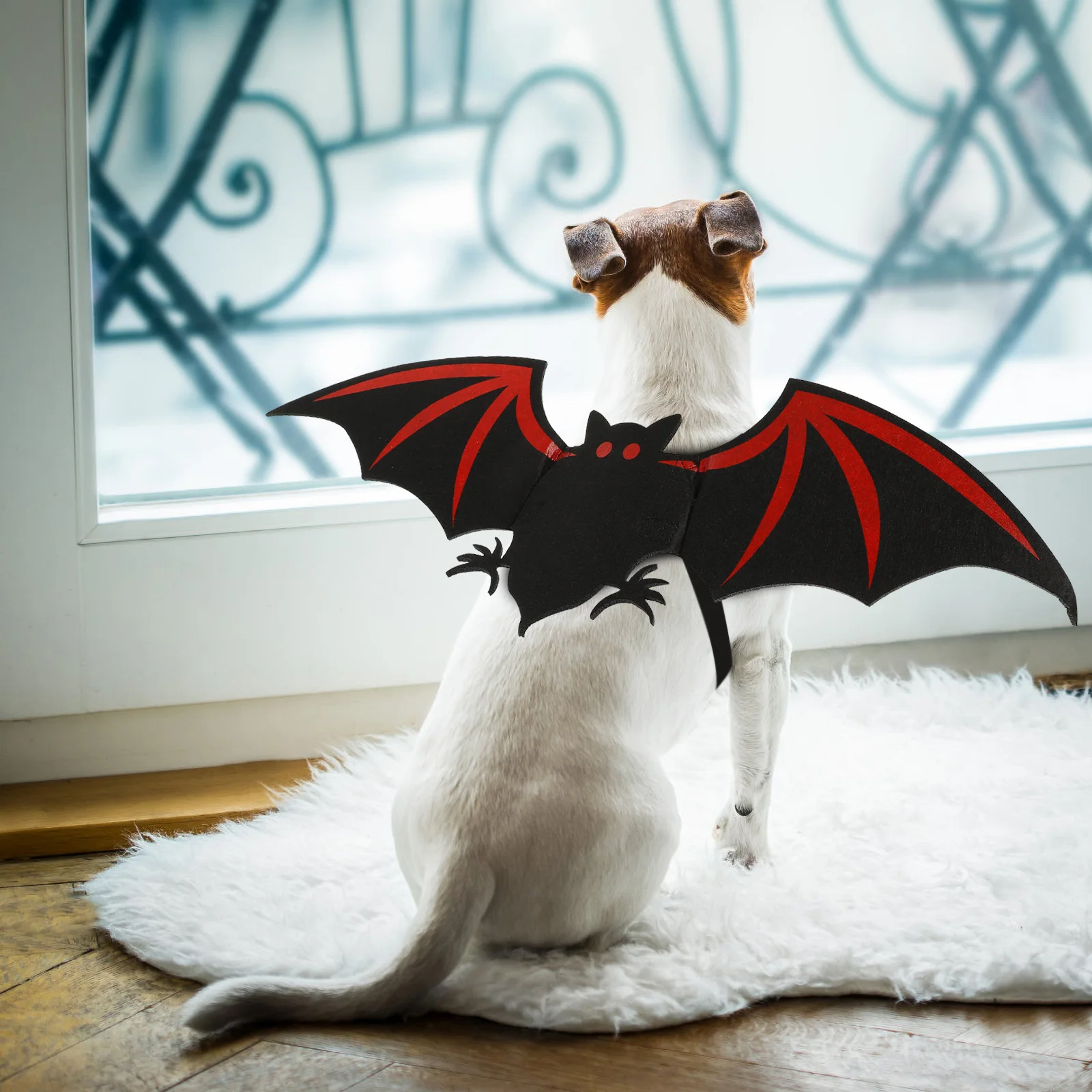 Bat Pet Outfit Creative Wing Design Halloween Dog Costume Felt Cloth Lightweight Apparel Durable Practical Use Pet Clothing
Bat Pet Outfit Creative Wing Design Halloween Dog Costume Felt Cloth Lightweight Apparel Durable Practical Use Pet Clothing