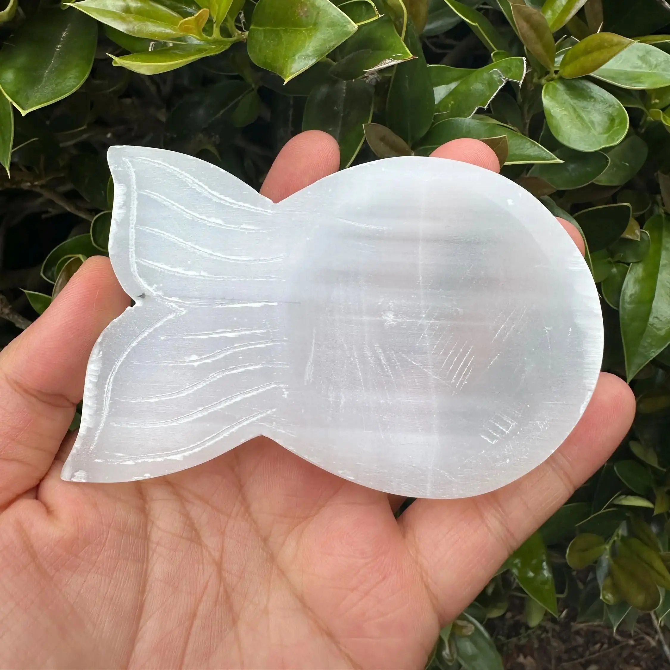 Natural Selenite Mermaid Bowl Carving, Hand Polished Crystal Dish, Healing Energy Stone Home Storage Decor Art Ornament Gift
Natural Selenite Mermaid Bowl Carving, Hand Polished Crystal Dish, Healing Energy Stone Home Storage Decor Art Ornament Gift