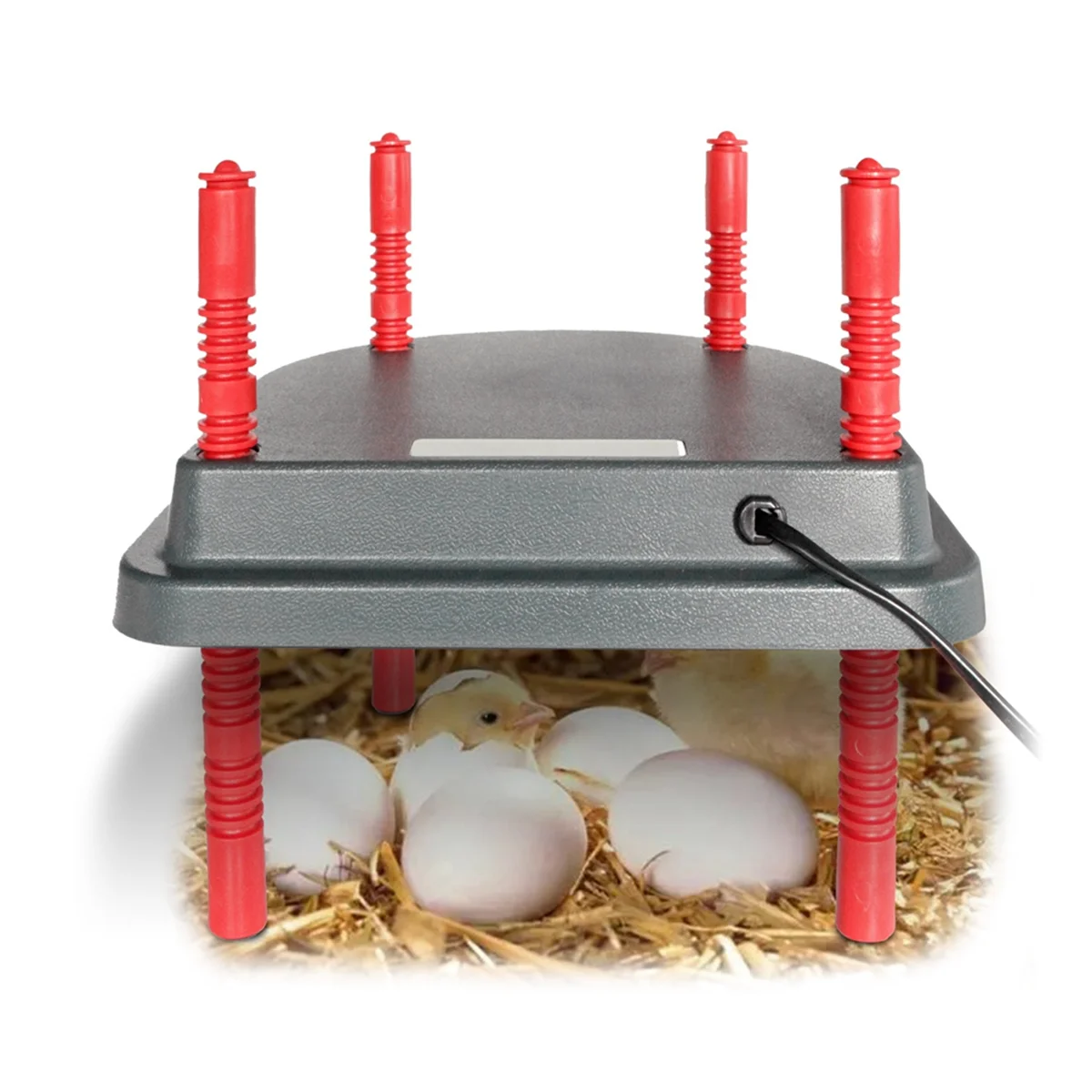 Brooder Heater for Chicks with Anti Roost Cone, Chick Brooder Heating Plate with Adjustable HeightsHUG
Brooder Heater for Chicks with Anti Roost Cone, Chick Brooder Heating Plate with Adjustable HeightsHUG