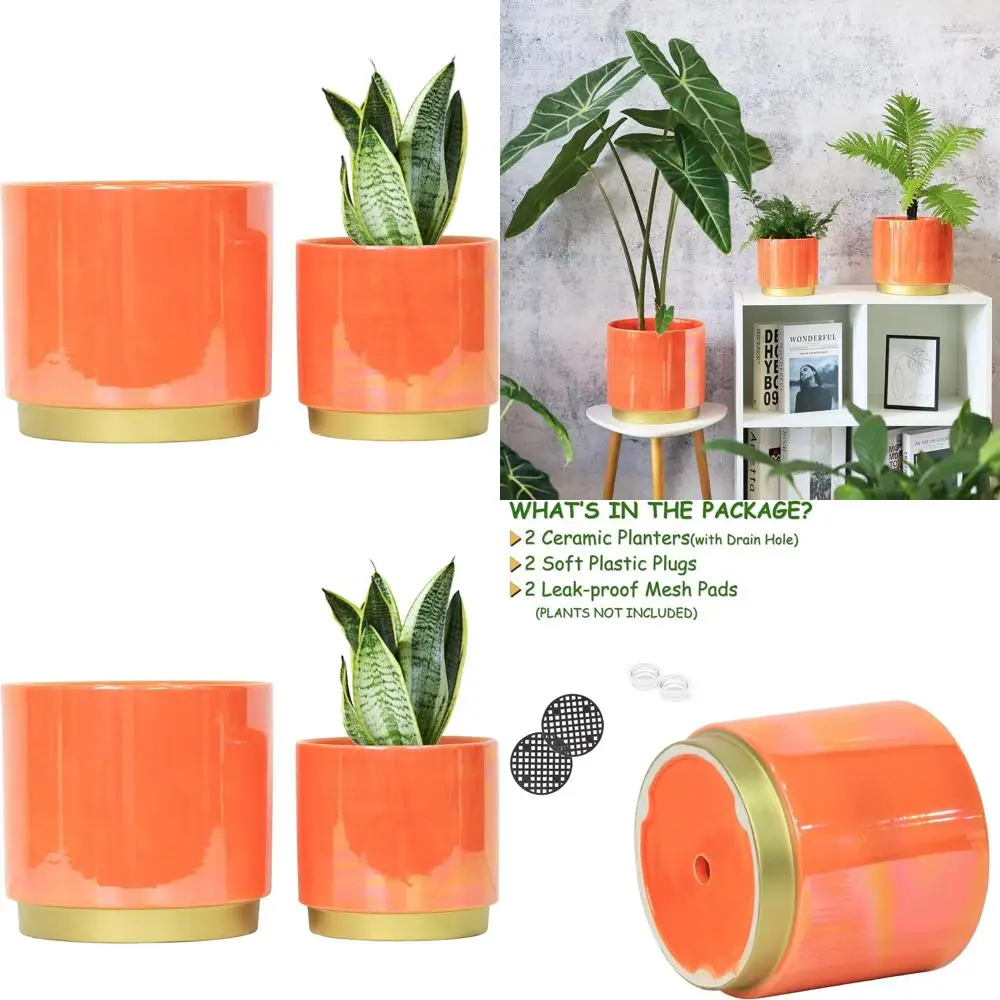 Керамические горшки для комнатных растений с дренажем, 7,6 и 6 наборов из 2 шт., глазурованные радужным жемчугом для суккулентов и орхидей
Керамические горшки для комнатных растений с дренажем, 7,6 и 6 наборов из 2 шт., глазурованные радужным жемчугом для суккулентов и орхидей
