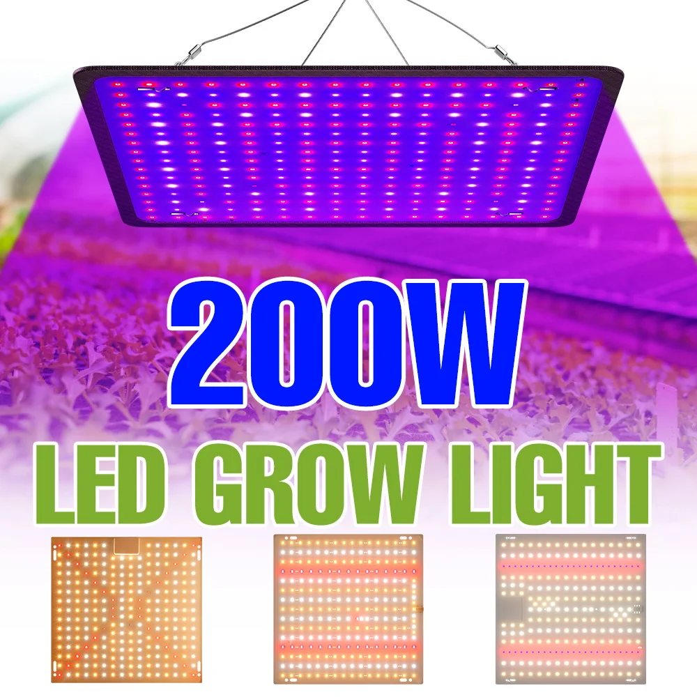 200W LED Quantum Board Grow Lights Full Spectrum Plant Lamp Indoor Flowers Green Vegetables Cultivation Fill Lighting US/EU Plug
200W LED Quantum Board Grow Lights Full Spectrum Plant Lamp Indoor Flowers Green Vegetables Cultivation Fill Lighting US/EU Plug