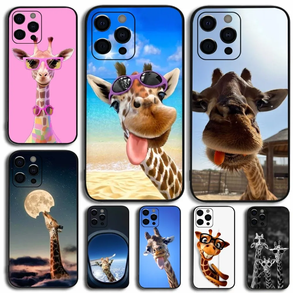 Giraffe Animal Funny Phone Case For Apple iPhone 15,14,13,12,11,Pro,X,XS,Max,XR,Plus,Mini Soft Black Cover
Giraffe Animal Funny Phone Case For Apple iPhone 15,14,13,12,11,Pro,X,XS,Max,XR,Plus,Mini Soft Black Cover