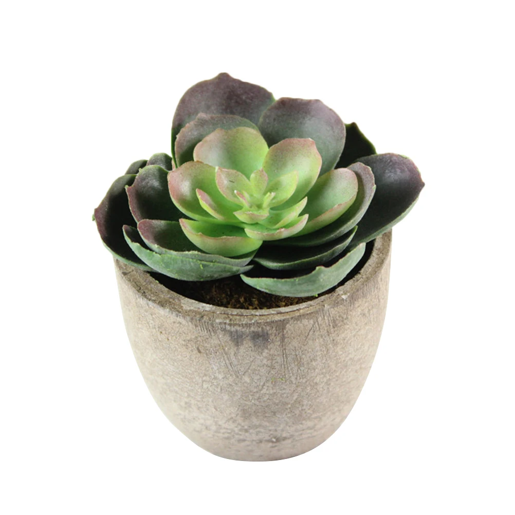 5 Pcs Fake Succulent Plants 65x65x7cm Plastic Artificial Bonsai DecorativePlant Office Bedroom Room Gifts
5 Pcs Fake Succulent Plants 65x65x7cm Plastic Artificial Bonsai DecorativePlant Office Bedroom Room Gifts