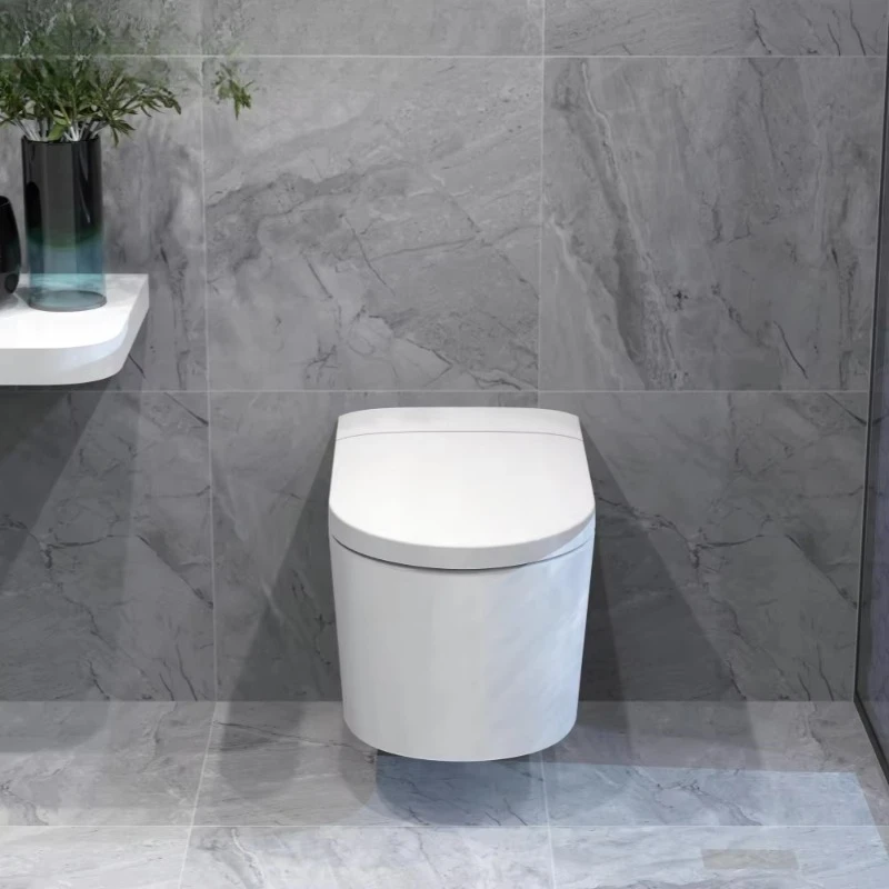 Скрытый бак, керамическая ванная комната, интеллектуальный унитаз, напольный монтаж, красочная матово-белая стена
Скрытый бак, керамическая ванная комната, интеллектуальный унитаз, напольный монтаж, красочная матово-белая стена