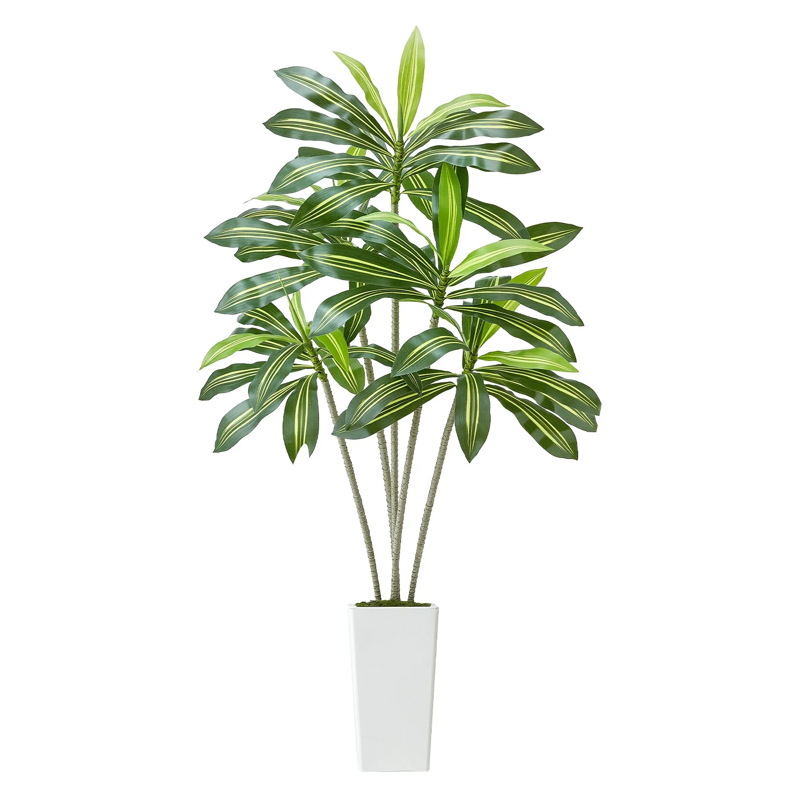 6ft Artificial Dracaena Tree in Pot Indoor Home Decor Faux Fake Plant
6ft Artificial Dracaena Tree in Pot Indoor Home Decor Faux Fake Plant