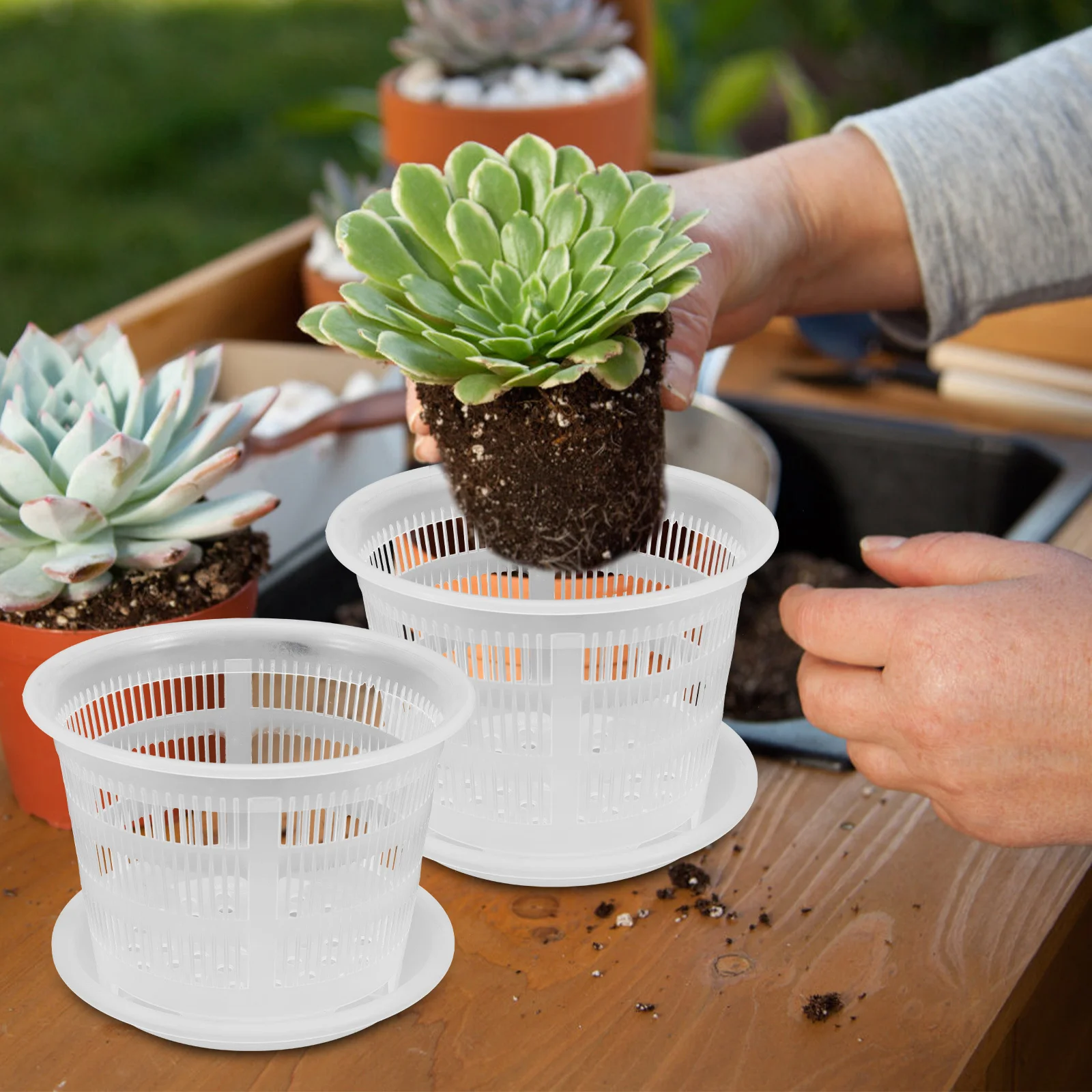 4pcs Plastic Flower Pot Planting Holder Indoor Hanging Planter Garden Supply Garden Supply Succulent Nursery Pots
4pcs Plastic Flower Pot Planting Holder Indoor Hanging Planter Garden Supply Garden Supply Succulent Nursery Pots