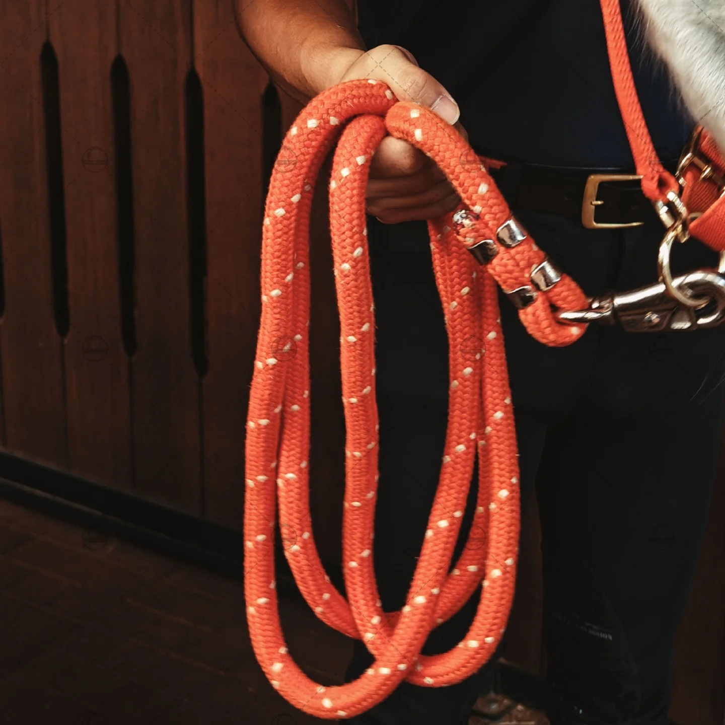 Soft Braided Rope Halter for Horse Head Adjustable Horse Halter Tack Supplies
Soft Braided Rope Halter for Horse Head Adjustable Horse Halter Tack Supplies