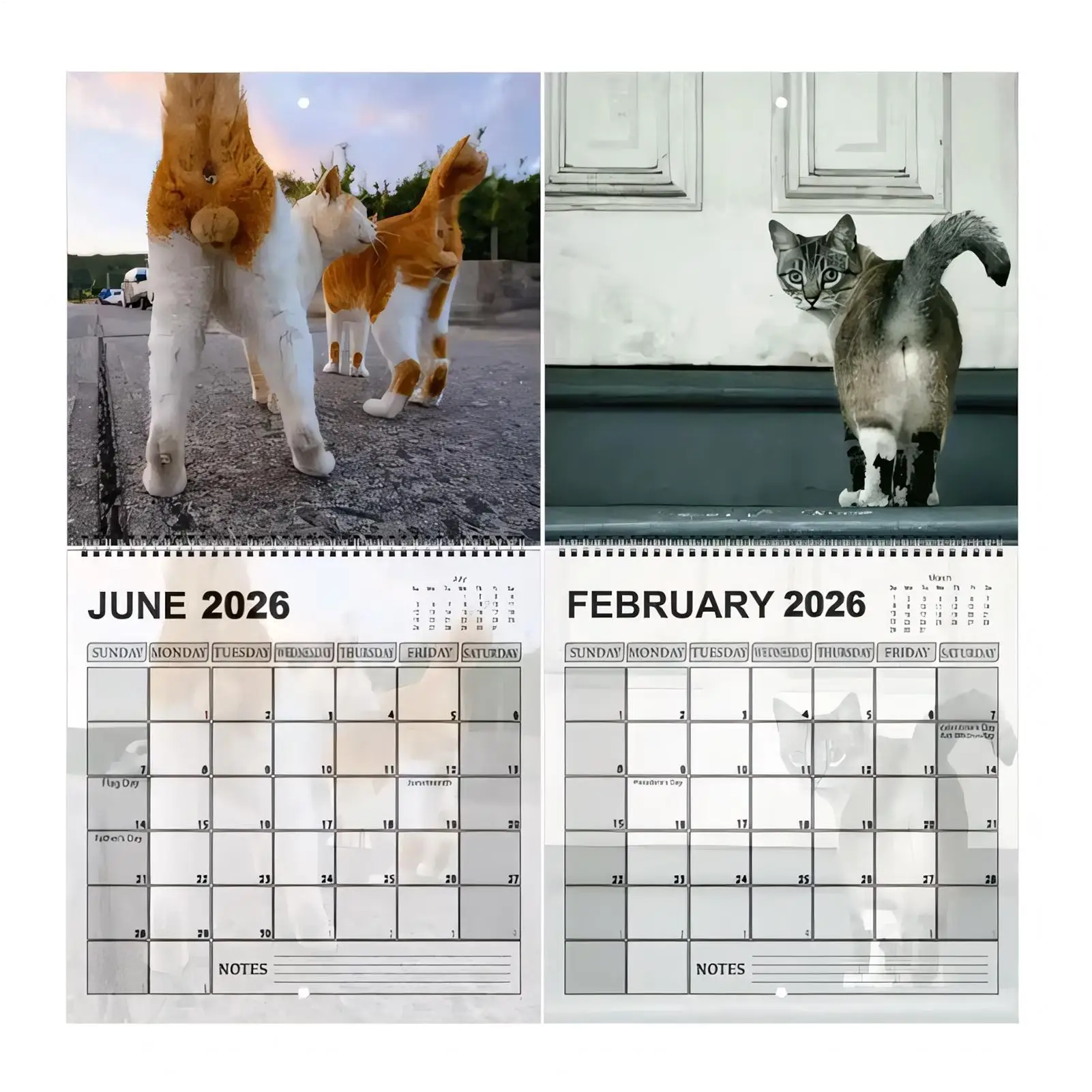 2026 Wall Calendar 12 Month Monthly Cat Themed Calendar Monthly Planner Scheduling Tool For Apartment Desk Bedroom Kitchen
2026 Wall Calendar 12 Month Monthly Cat Themed Calendar Monthly Planner Scheduling Tool For Apartment Desk Bedroom Kitchen