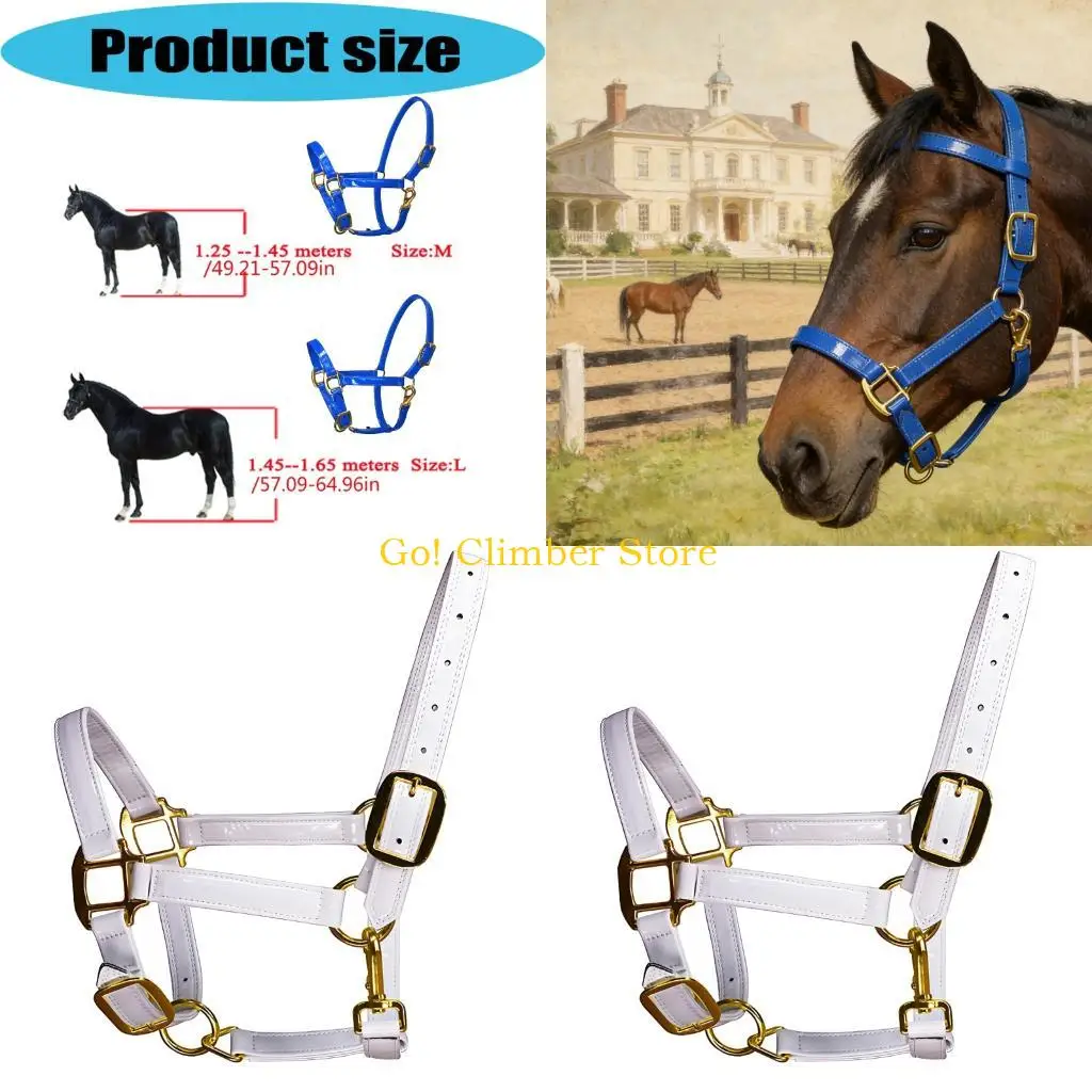 Q84C Quality Fashionable Leather Horse Headgear Horse Bridle Headstall With Golden Hardware Waterproof Design For Stable Use
Q84C Quality Fashionable Leather Horse Headgear Horse Bridle Headstall With Golden Hardware Waterproof Design For Stable Use
