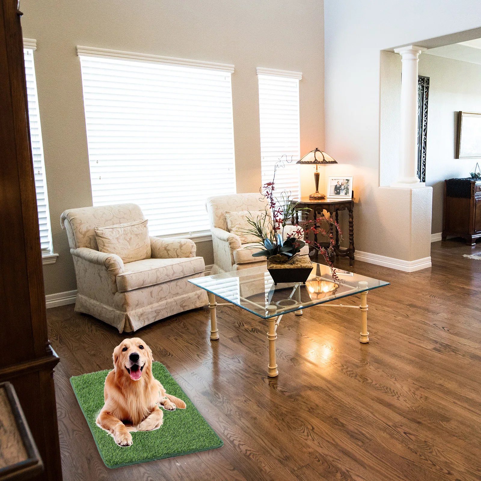 Pet Grass Pad 65x95cm High-Density Vivid Grass Surface Easy-Clean Mat for Dogs Portable Puppy Training Pet Cage Decor
Pet Grass Pad 65x95cm High-Density Vivid Grass Surface Easy-Clean Mat for Dogs Portable Puppy Training Pet Cage Decor