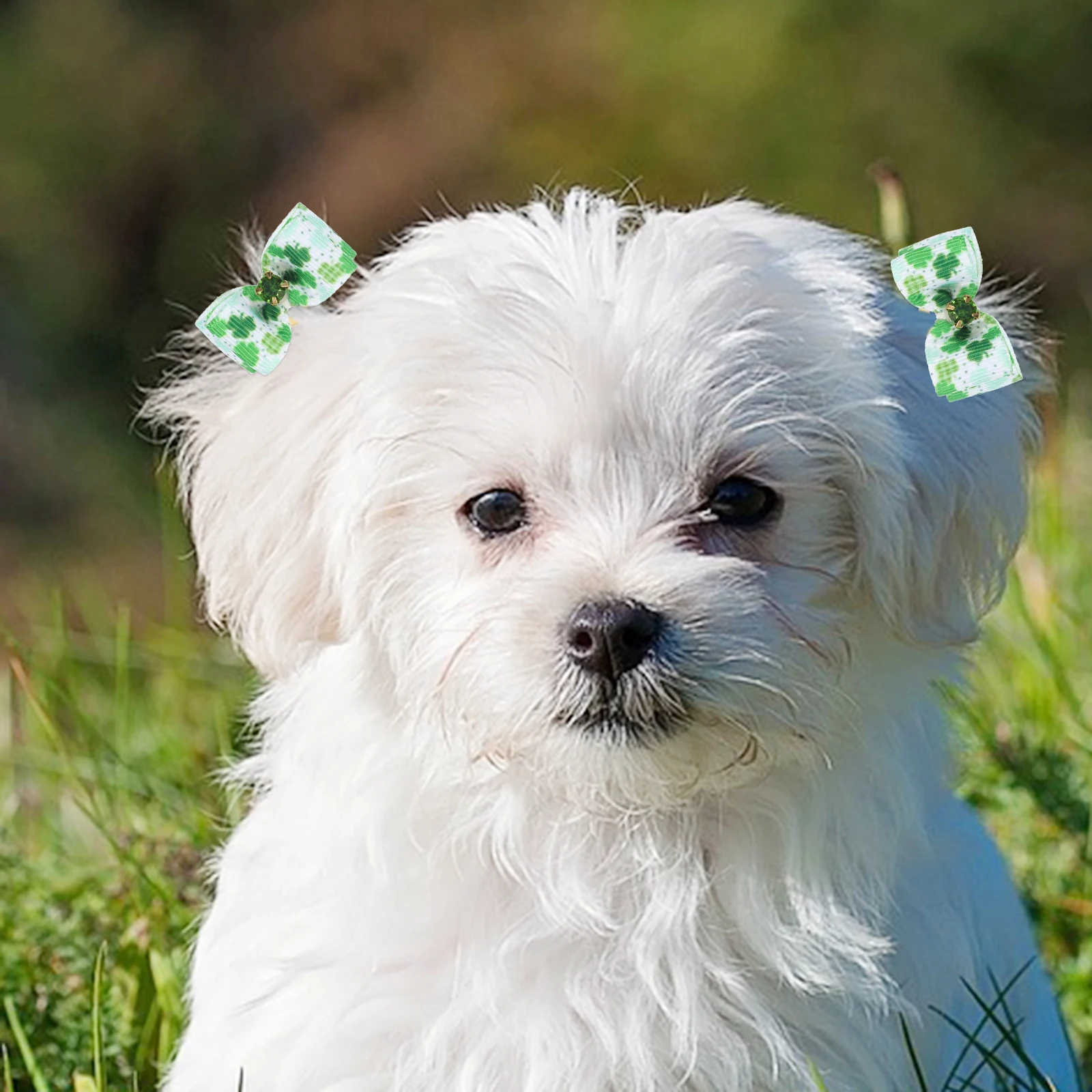 10pcs Flower Pet Headbands Accessories for Dogs Bows Rubber Bands St Patrick's Day Party Decorative Hair Ties Dog Cat Headdress
10pcs Flower Pet Headbands Accessories for Dogs Bows Rubber Bands St Patrick's Day Party Decorative Hair Ties Dog Cat Headdress