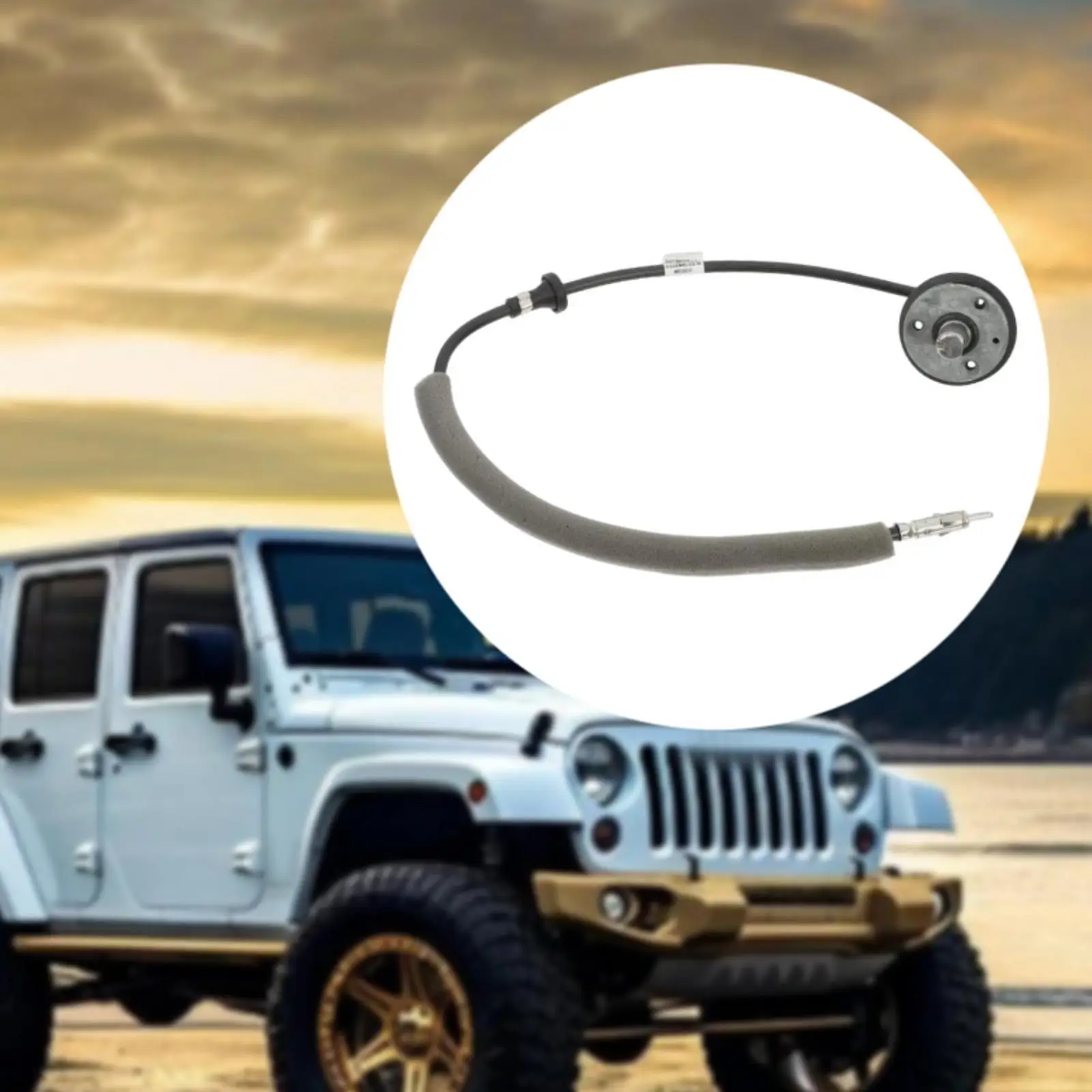 Antenna Base Cable with Bracket 56038660Ab Premium Easy to Install Portable Accessories Replace for Jeep Wrangler 1997-2006
Antenna Base Cable with Bracket 56038660Ab Premium Easy to Install Portable Accessories Replace for Jeep Wrangler 1997-2006