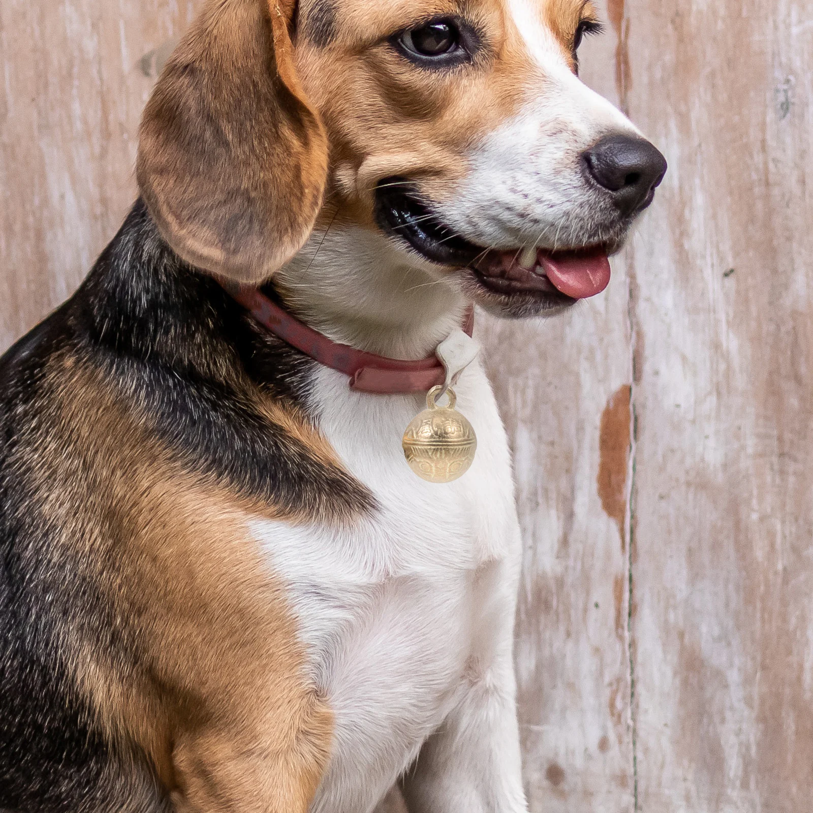 2Pcs Pet Bells Copper Material Clear Sound Small Size Decorative Dog Bells Portable Tiger Head Hanging Pendants Crafts Musical
2Pcs Pet Bells Copper Material Clear Sound Small Size Decorative Dog Bells Portable Tiger Head Hanging Pendants Crafts Musical