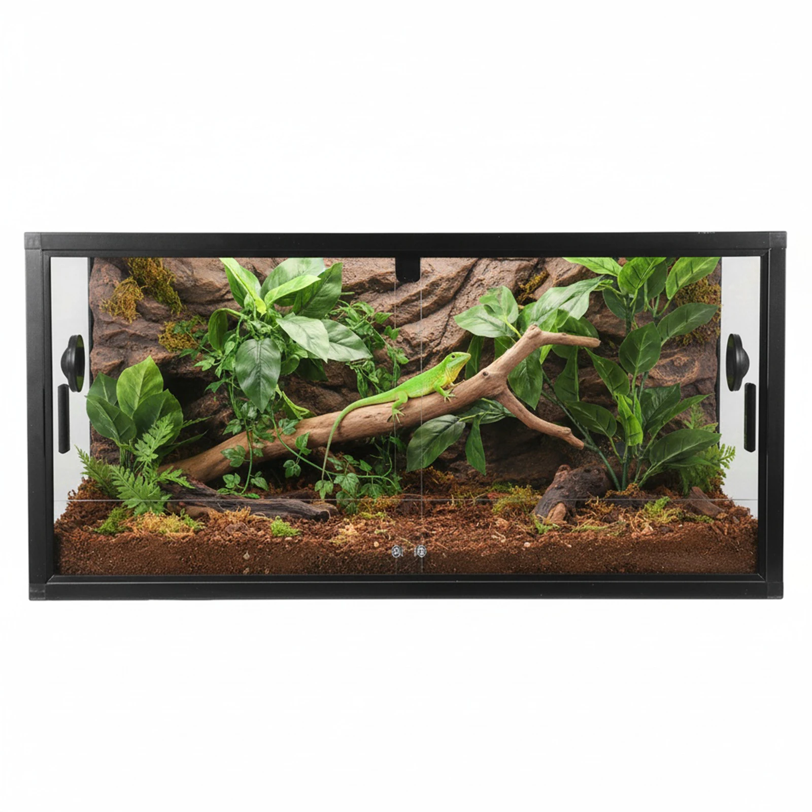 Climbing Pet Tank Front Opening Plant Gecko Ecological Tank with Ventilation Detachable Reptile Terrarium for Easy Maintenance
Climbing Pet Tank Front Opening Plant Gecko Ecological Tank with Ventilation Detachable Reptile Terrarium for Easy Maintenance