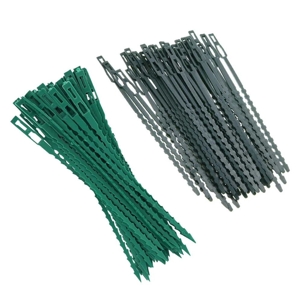 100pcs Garden Fish Bone Zip Ties 50 Long 50 Short Reusable Plant Support Straps For Vegetables Vines Climb Fixing Cable Ties
100pcs Garden Fish Bone Zip Ties 50 Long 50 Short Reusable Plant Support Straps For Vegetables Vines Climb Fixing Cable Ties