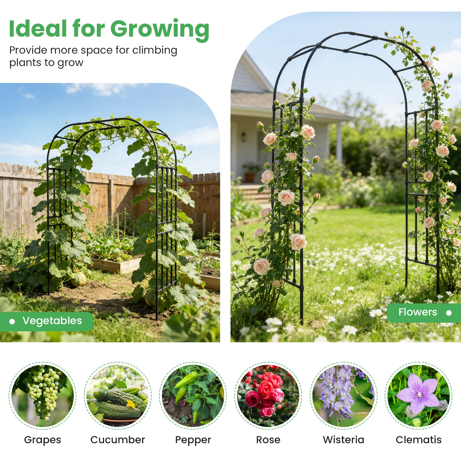 7.87ft Garden Arch Metal Trellis for Climbing Plants Outdoor Trellis for Flower Vines Wedding Bridal Party Decoration
7.87ft Garden Arch Metal Trellis for Climbing Plants Outdoor Trellis for Flower Vines Wedding Bridal Party Decoration