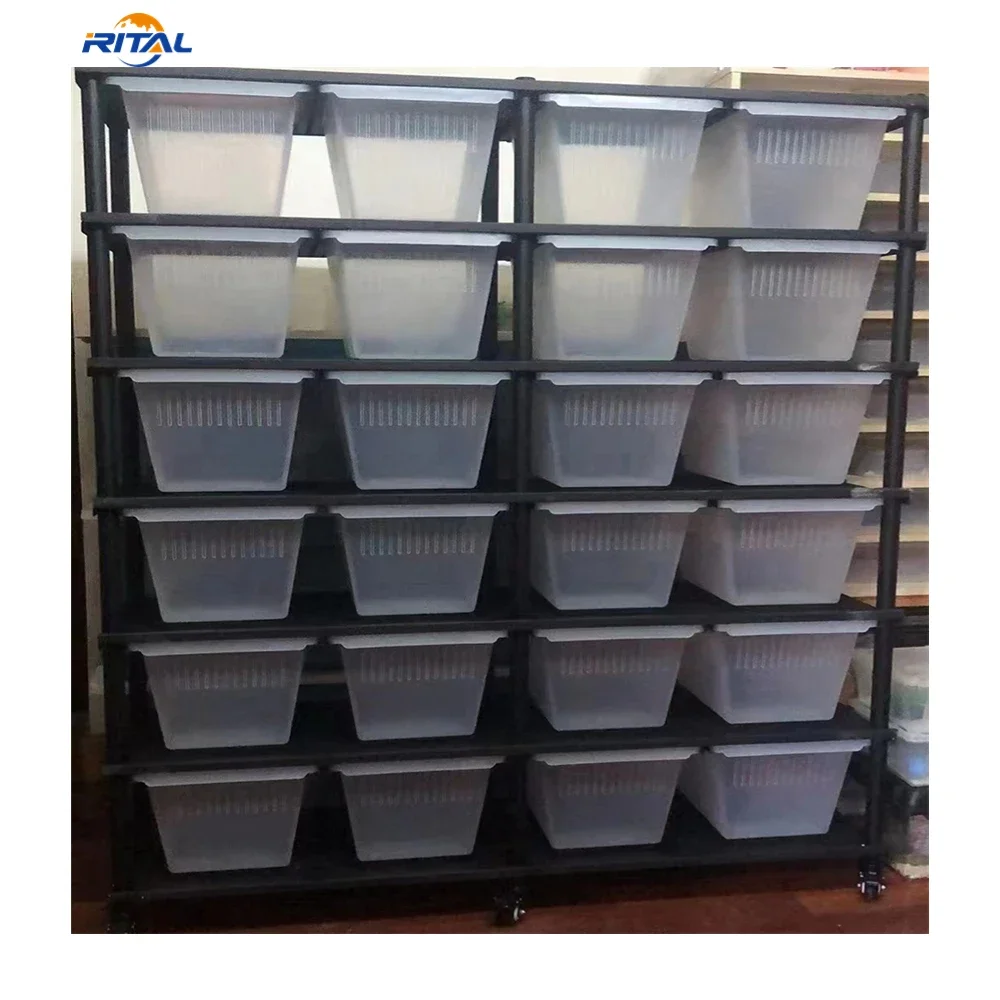 for Manufacturers pet snake box reptile breeding tubs tree-dwelling rack metal Lizard rack
for Manufacturers pet snake box reptile breeding tubs tree-dwelling rack metal Lizard rack