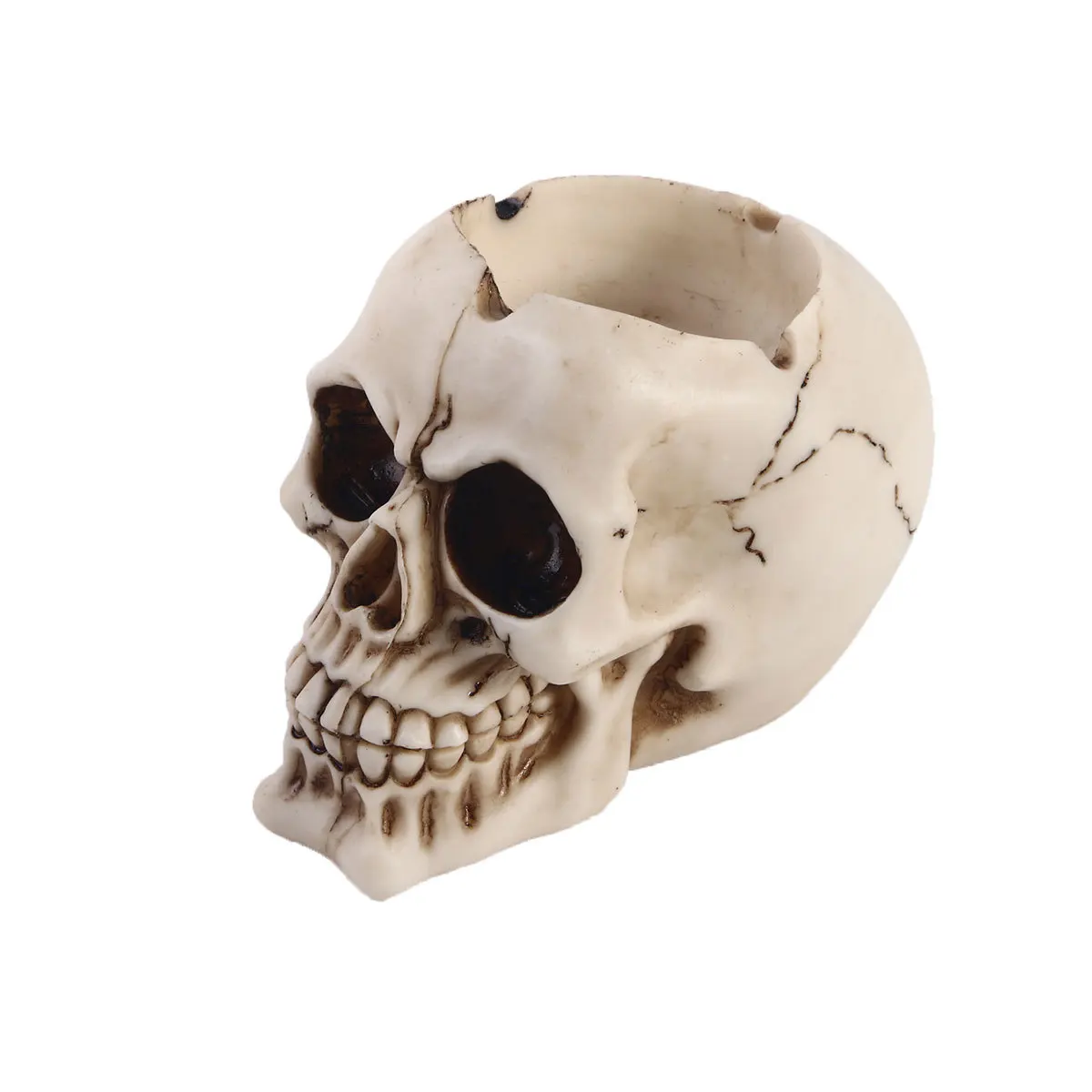 Ashtray Skull Resin Crafts Home Ornament Foreign Trade Supply Halloween Decoration Home SuppliesHalloween
Ashtray Skull Resin Crafts Home Ornament Foreign Trade Supply Halloween Decoration Home SuppliesHalloween