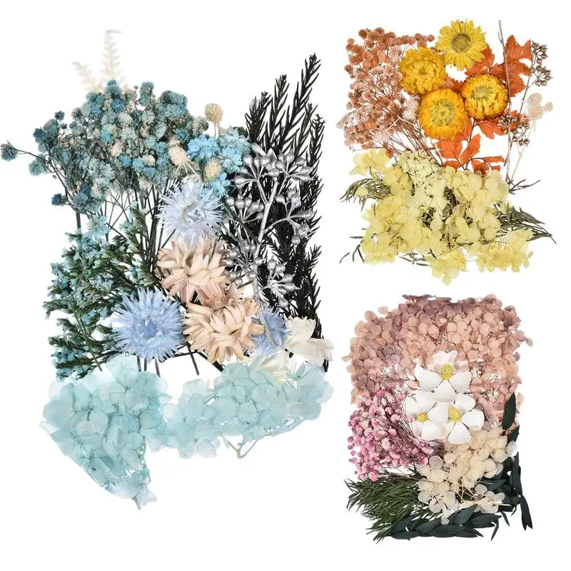 Dried Flowers For Resin Natural Preserved Dried Flowers Multiple Pressed Dry Flowers For DIY Candle Crafts Tools Making gifts
Dried Flowers For Resin Natural Preserved Dried Flowers Multiple Pressed Dry Flowers For DIY Candle Crafts Tools Making gifts