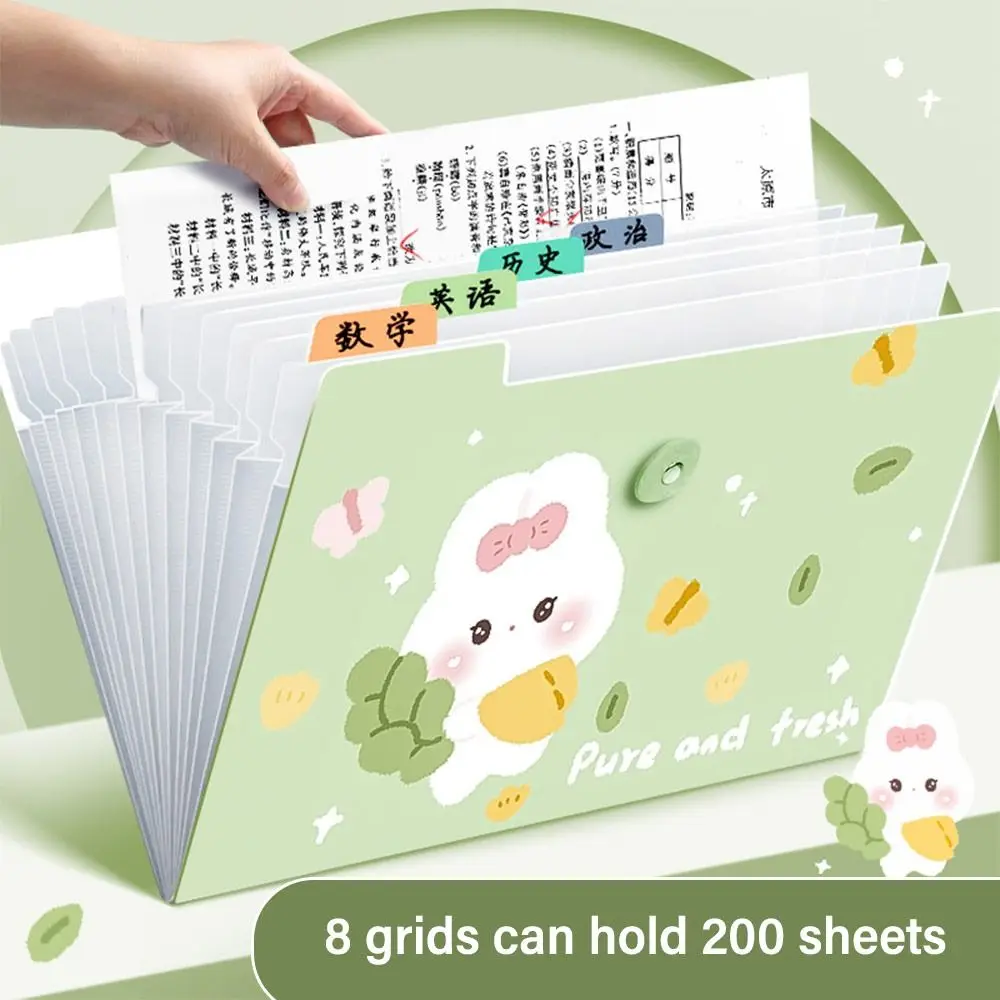 Cartoon Waterproof A4 File Folder Large Capacity PP Test Paper Storage Folder 8/13 Pockets Document Bag
Cartoon Waterproof A4 File Folder Large Capacity PP Test Paper Storage Folder 8/13 Pockets Document Bag