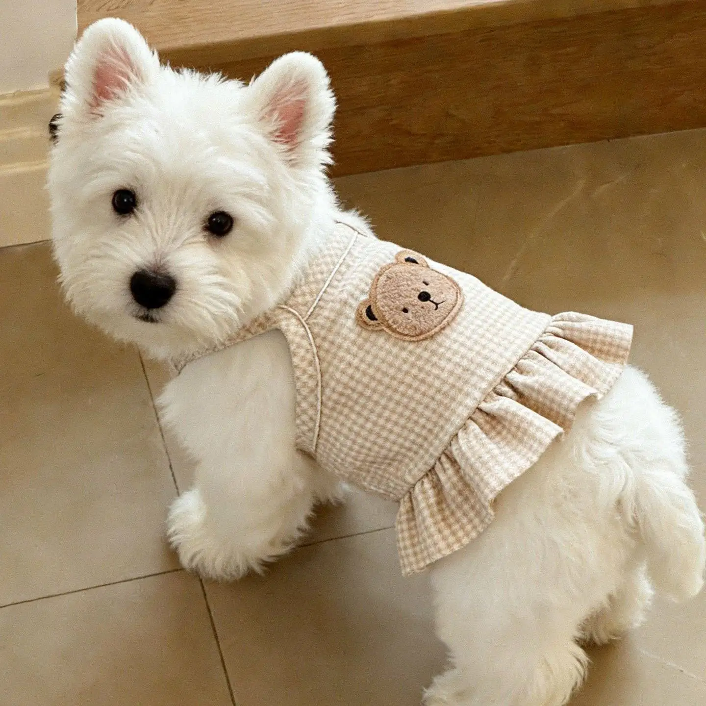 Dogs Thin Small Fashion Bear Vest Pet Dog Clothes Cat Solid T-shirt Clothing Chihuahua Summer Breathable Girl Pug Pet Vest York
Dogs Thin Small Fashion Bear Vest Pet Dog Clothes Cat Solid T-shirt Clothing Chihuahua Summer Breathable Girl Pug Pet Vest York