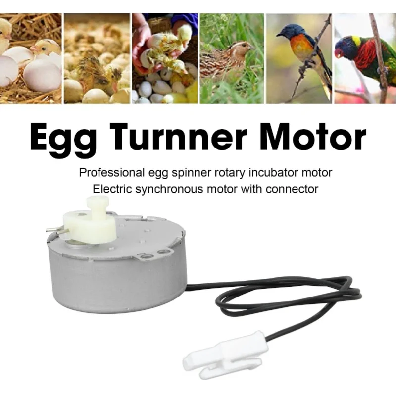 F9 Fully Automatic Incubator 48 Egg-Turning Motors With A Terminal Line Small Incubator Motor 4w 110v 220v Egg Tray Not Included
F9 Fully Automatic Incubator 48 Egg-Turning Motors With A Terminal Line Small Incubator Motor 4w 110v 220v Egg Tray Not Included