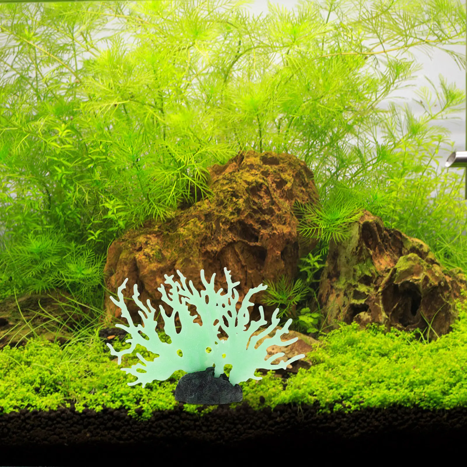 Glowing Coral Statue for Aquarium Fish Tank Decor Artificial Coral Plant Ornament Realistic Night Light Underwater Scene Home
Glowing Coral Statue for Aquarium Fish Tank Decor Artificial Coral Plant Ornament Realistic Night Light Underwater Scene Home