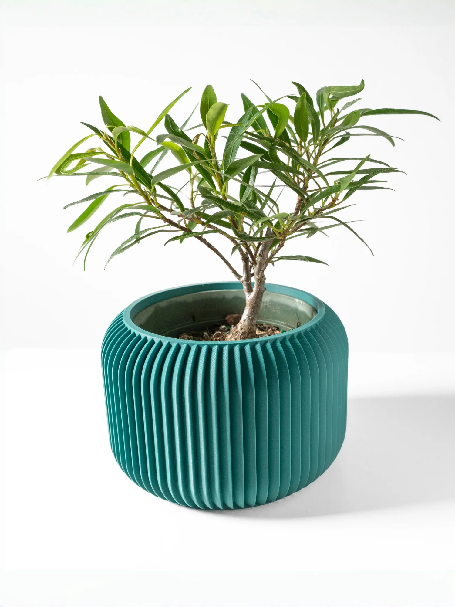 Modern Minimalist 3D Printed Plant Pot – Biodegradable Flower Planter for Home Decor, Eco-Friendly Sustainable Gift (Unis)
Modern Minimalist 3D Printed Plant Pot – Biodegradable Flower Planter for Home Decor, Eco-Friendly Sustainable Gift (Unis)