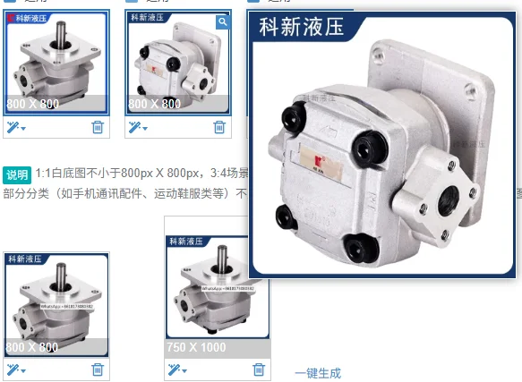 Hydraulic Gear Pump GPY-234567891GPY-12R High Pressure Gear Pump Factory, Japan
Hydraulic Gear Pump GPY-234567891GPY-12R High Pressure Gear Pump Factory, Japan