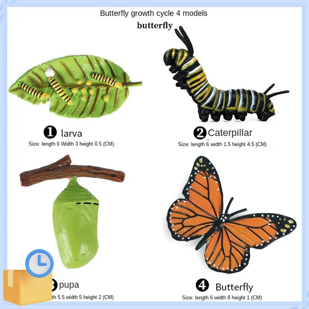ABTK-16PCS Insect Figurines Life Cycle Of Monarch Butterfly,Honey Bee,Cicada,Ladybug, Plastic Educational School Project
ABTK-16PCS Insect Figurines Life Cycle Of Monarch Butterfly,Honey Bee,Cicada,Ladybug, Plastic Educational School Project