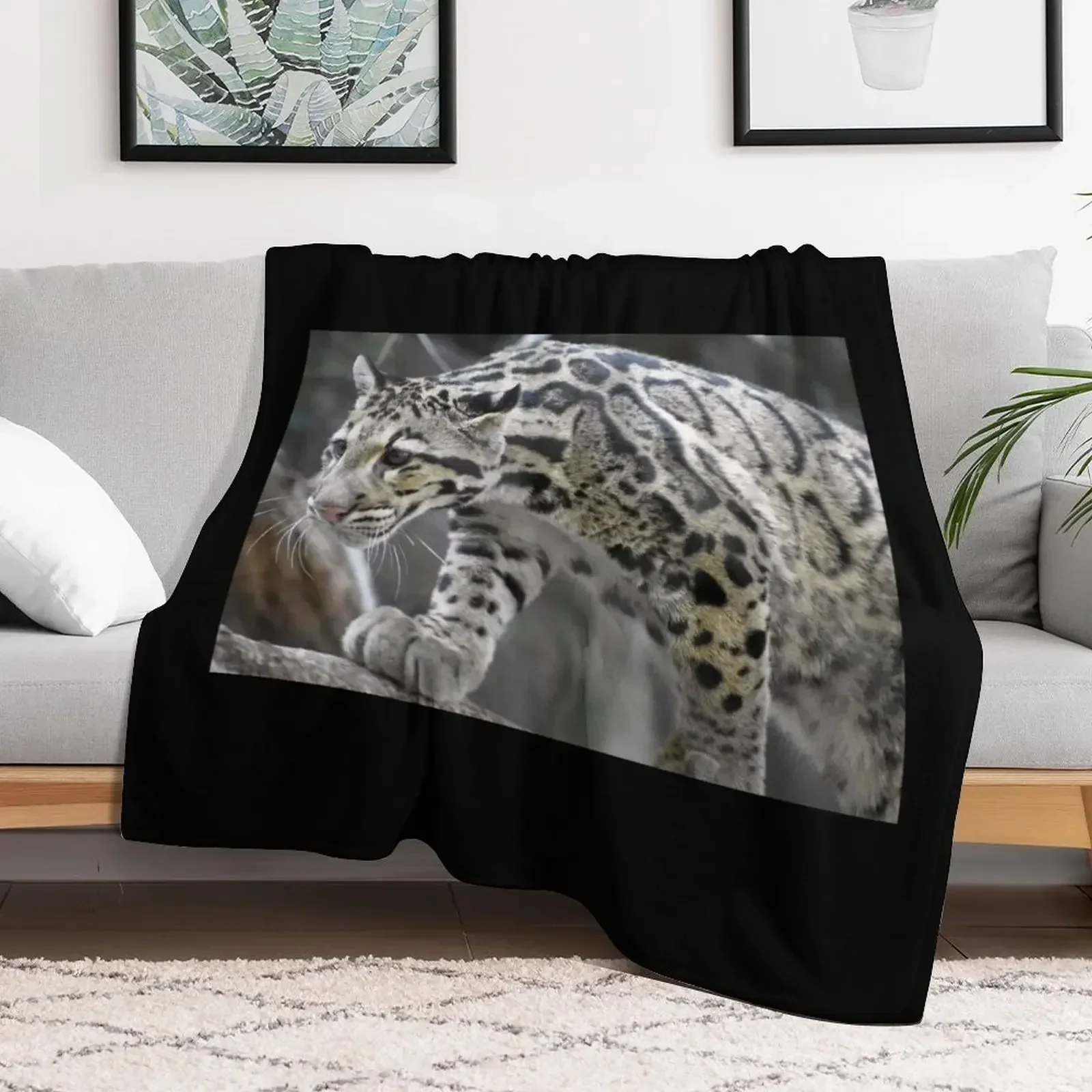 Clouded Leopard at the National Zoo Throw Blanket Tourist Flannel Fabric Heavy Blankets
Clouded Leopard at the National Zoo Throw Blanket Tourist Flannel Fabric Heavy Blankets
