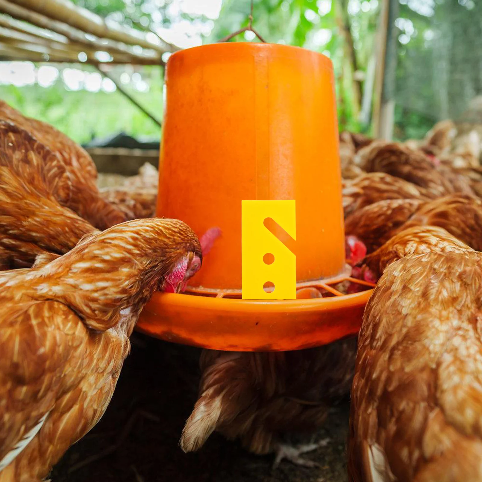 50Pcs Automatic Chicken Waterer Height Adjustment Clips Adjustable Poultry Feeder Water Kits DIY Chicken Watering Equipment
50Pcs Automatic Chicken Waterer Height Adjustment Clips Adjustable Poultry Feeder Water Kits DIY Chicken Watering Equipment