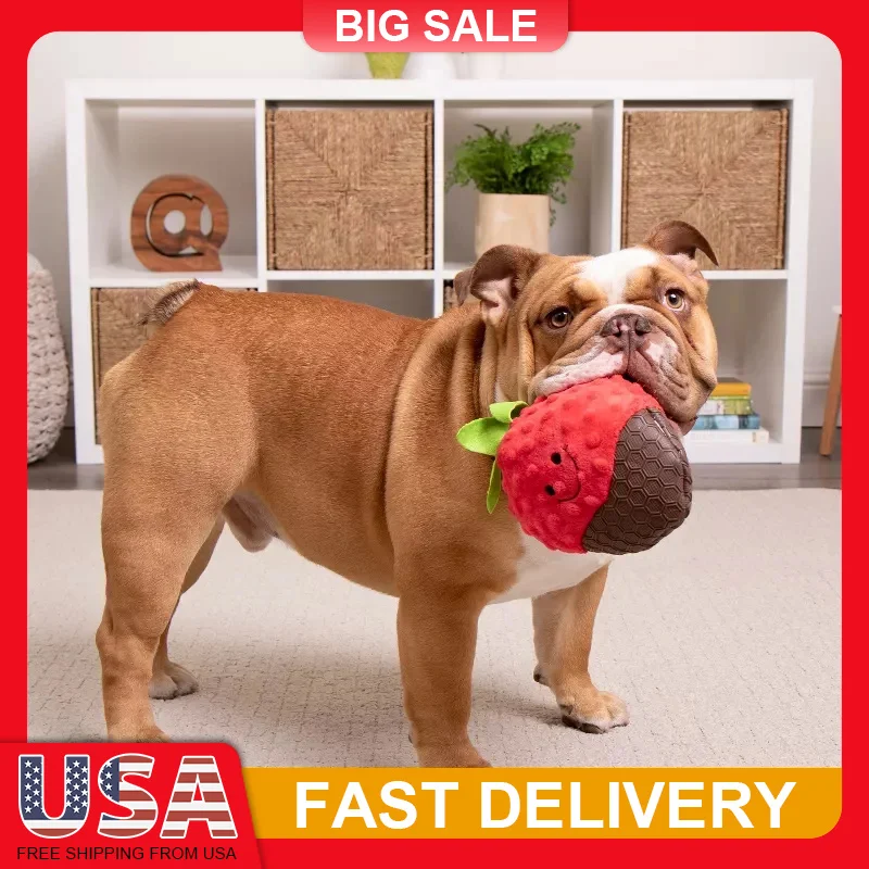 Large Chew Guard Plush Dog Toy Cocoa Berry Squeaky Bubble Plush for Dogs Durable Tear Resistant Interactive Cuddle Toys
Large Chew Guard Plush Dog Toy Cocoa Berry Squeaky Bubble Plush for Dogs Durable Tear Resistant Interactive Cuddle Toys