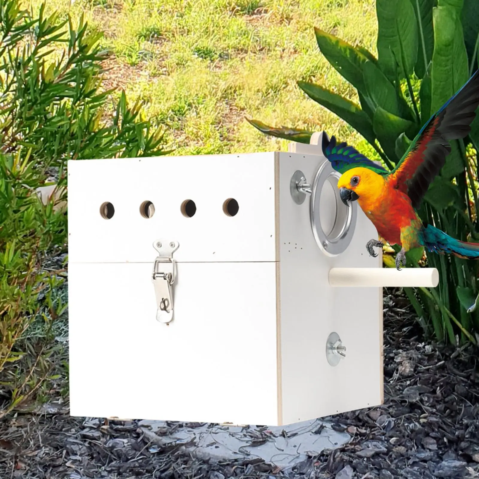 Parrots Mating House Bird House Cage Accessories Birds Breeding Box Bird Nesting Box for Budgie Canary Cockatoo Finch Lovebirds
Parrots Mating House Bird House Cage Accessories Birds Breeding Box Bird Nesting Box for Budgie Canary Cockatoo Finch Lovebirds