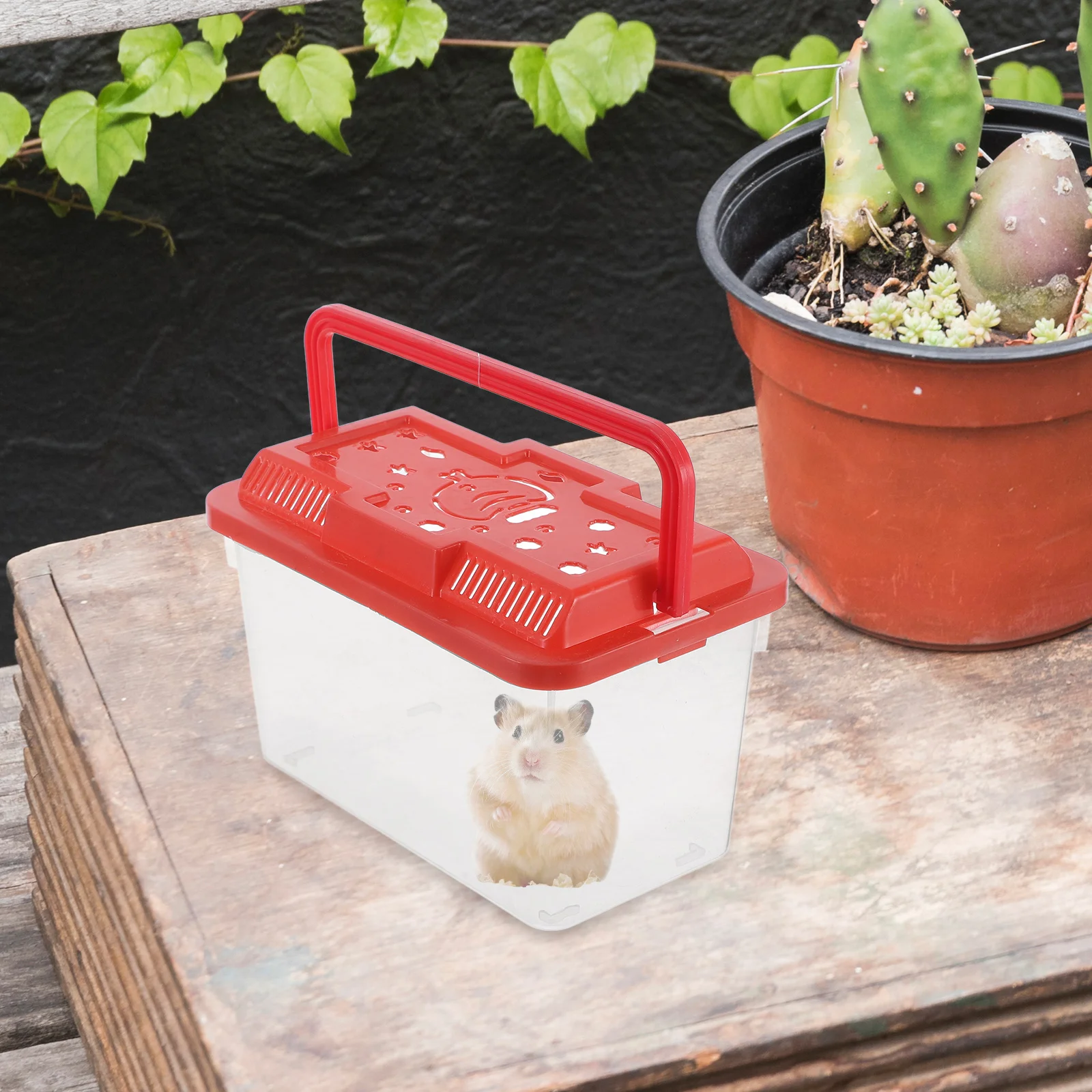 Portable Fish Tank Gold Small Animal Carrier Reptile Enclosure Goldfish Animals
Portable Fish Tank Gold Small Animal Carrier Reptile Enclosure Goldfish Animals