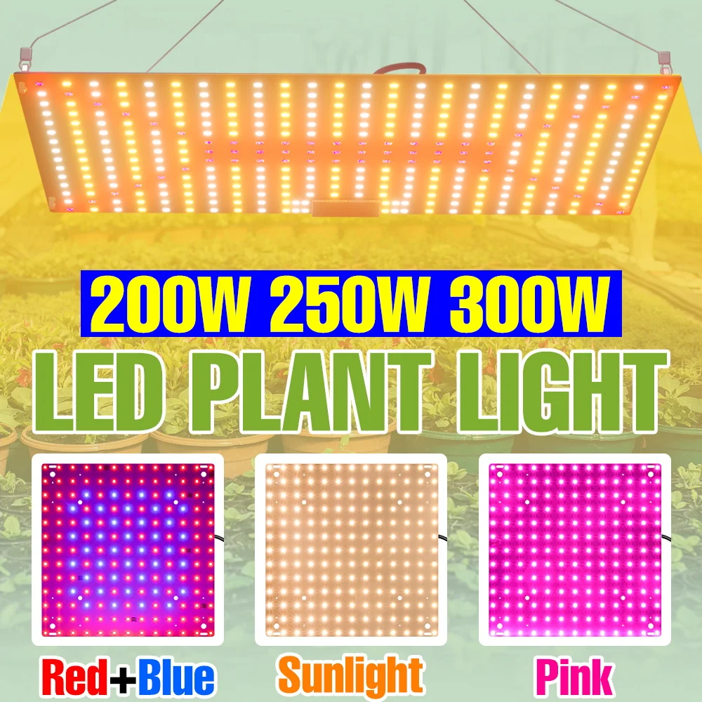 Светодиодные фитолампы полного спектра 300 Вт, 100-277 В, квантовая панель, для выращивания растений в помещении, для цветов и растений в горшках, дополнительное освещение, вилка US/EU
Светодиодные фитолампы полного спектра 300 Вт, 100-277 В, квантовая панель, для выращивания растений в помещении, для цветов и растений в горшках, дополнительное освещение, вилка US/EU