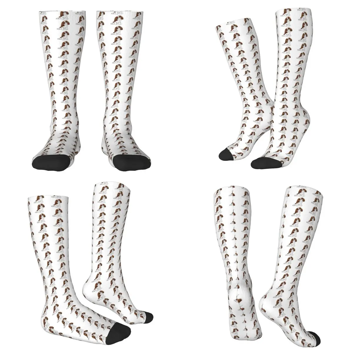 All Seasons Cavalier King Charles Spaniel - Blenheim Socks Harajuku Crew Socks Casual Stockings for Men Women
All Seasons Cavalier King Charles Spaniel - Blenheim Socks Harajuku Crew Socks Casual Stockings for Men Women