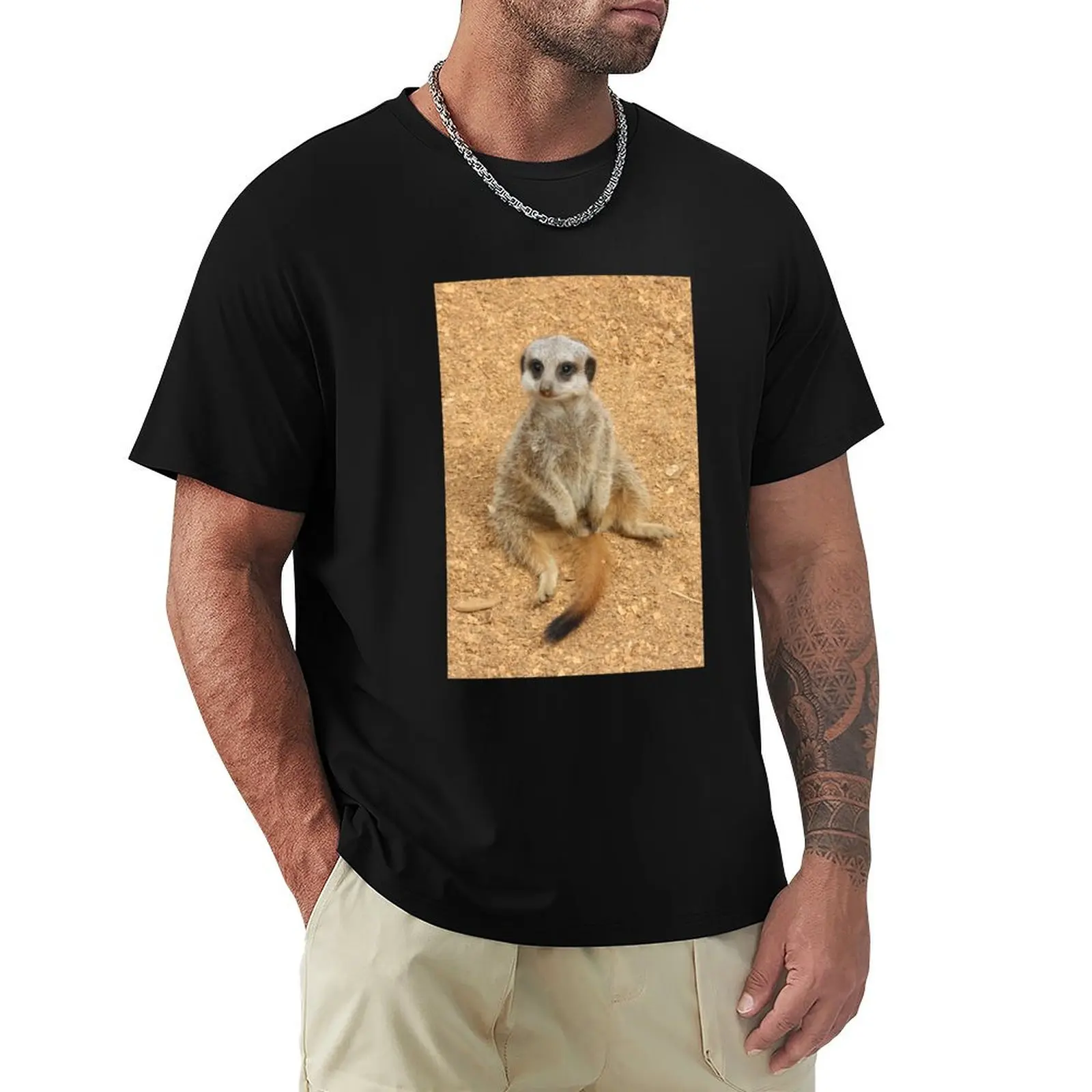 Zoo Meerkat 02 T-Shirt All Match Basic Short Sleeve Top
Zoo Meerkat 02 T-Shirt All Match Basic Short Sleeve Top